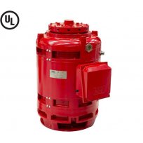 Vertical Hollow Shaft Motor