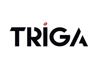 TRIGA Life Safety System.